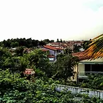 Apartman Maslina