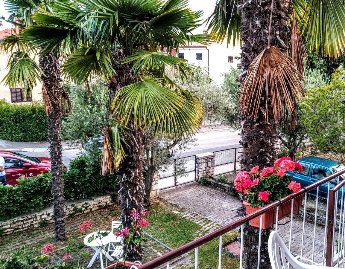 Apartman Maslina Apartment
