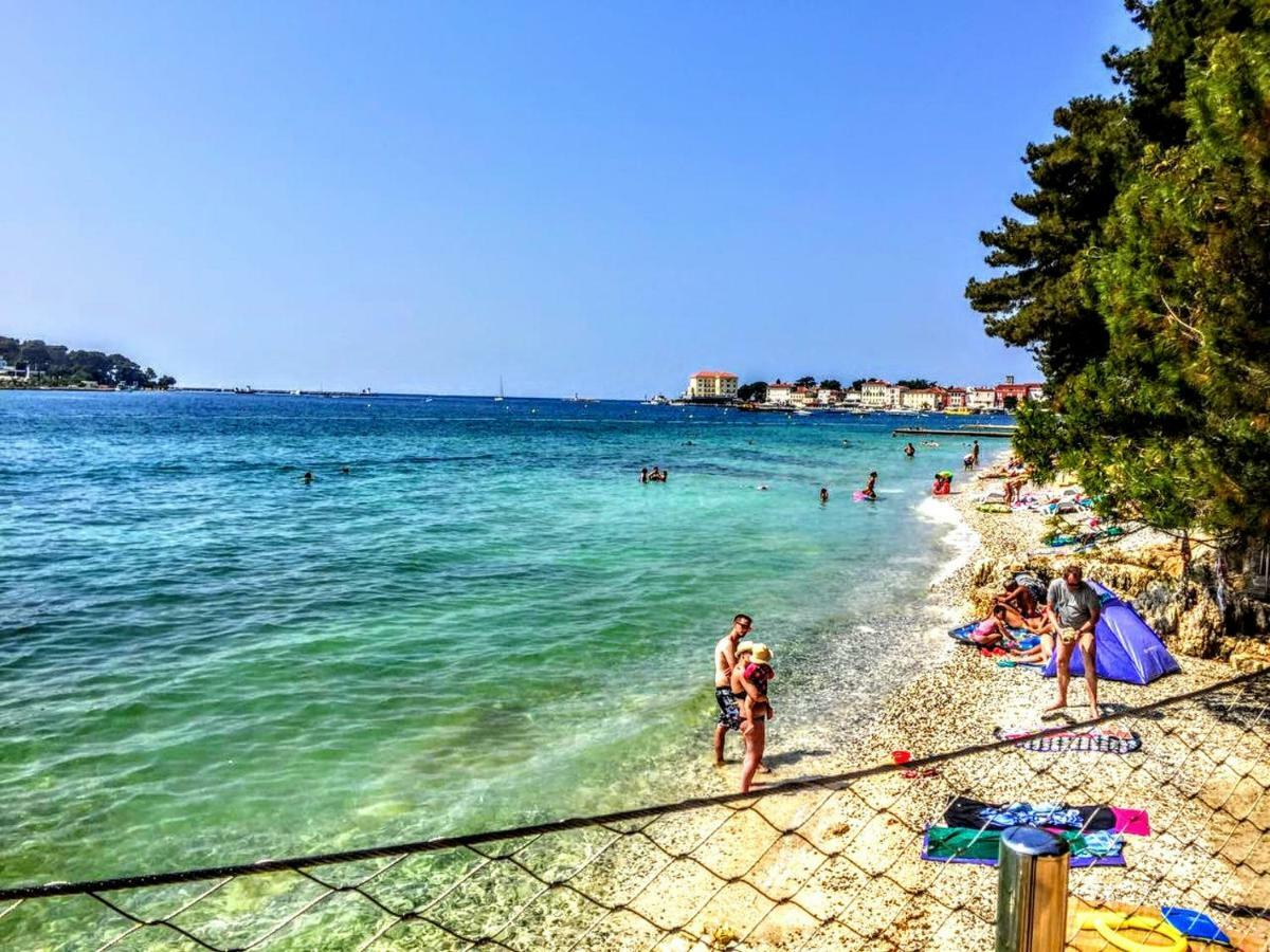 Apartman Maslina *
