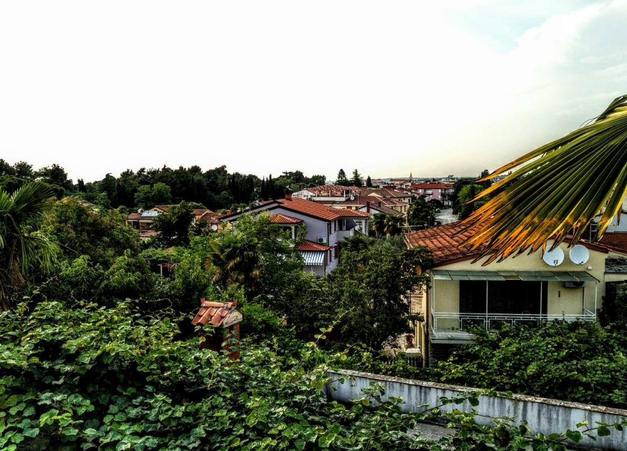 Apartman Maslina *