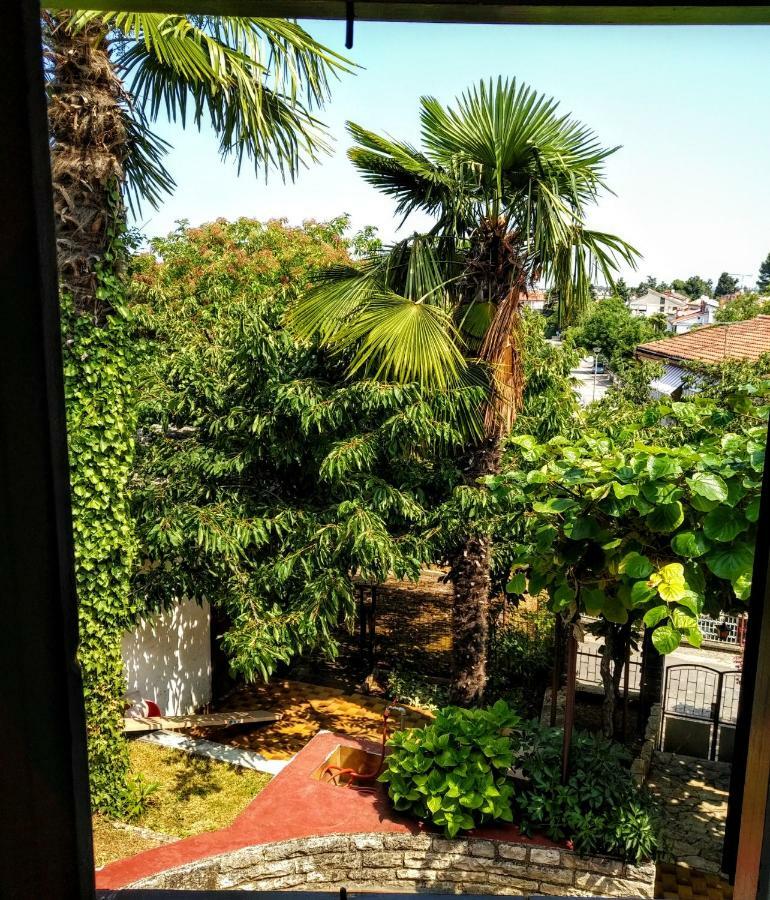Apartment Apartman Maslina Porec